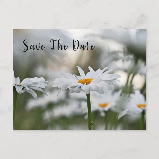 Tarjeta de Anuncio de Cumpleaños Save The Date (Anverso)
