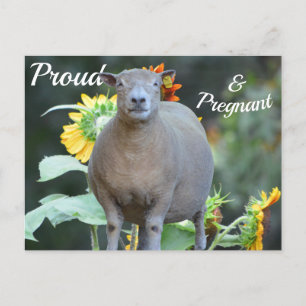 Tarjeta de Anuncio de Embarazo Encantador