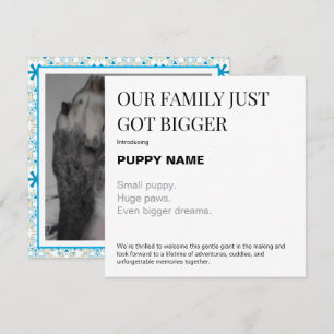 Tarjeta de anuncio de foto de nuevo cachorro