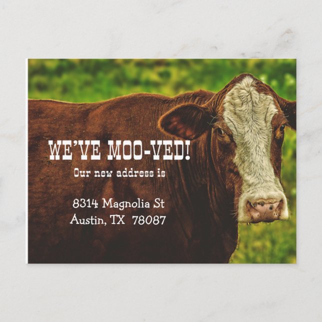 Tarjeta de anuncio de mudanza We've Moo-ved (Anverso)