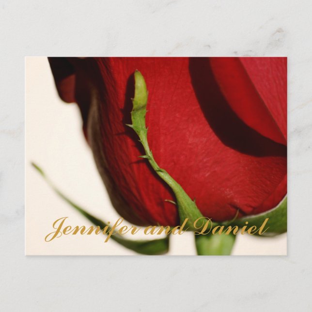 Tarjeta de Anuncio de Rosa Roja de Boda de Diciemb (Anverso)