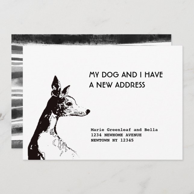 Tarjeta de anuncio plana (Anverso / Reverso)