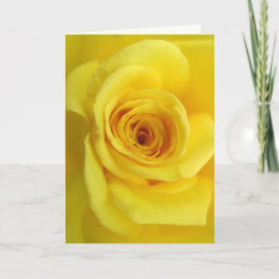 Tarjeta de apoyo a la rosa amarilla