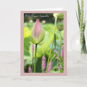 Tarjeta de apoyo de Lotus