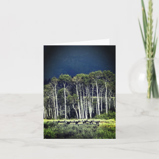 Tarjeta de apunte de Aspens