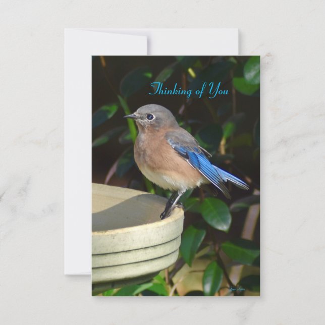 Tarjeta de apunte de Bluebird Nature Pensando en t (Anverso)
