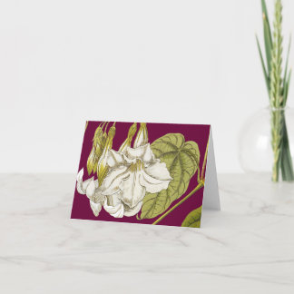 Tarjeta de apunte de jazmín de montaña chilena