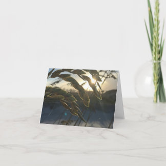 Tarjeta de apunte de Oats marinos