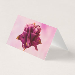 Tarjeta de Aquilegia Rosa Borgoña