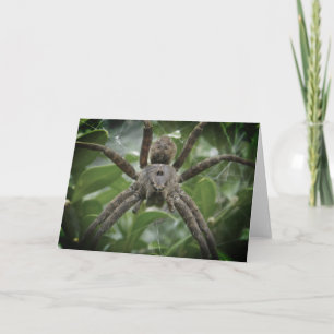 Tarjeta de araña de Halloween