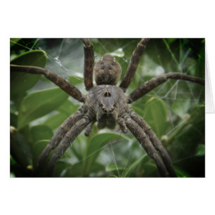 Tarjeta de araña de Halloween