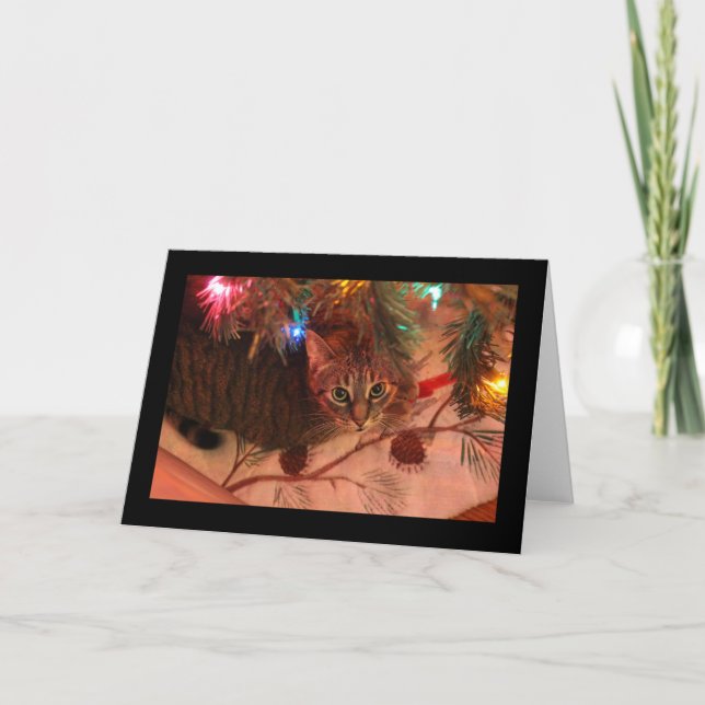 Tarjeta de árbol de Navidad de gato atigrado (Anverso)