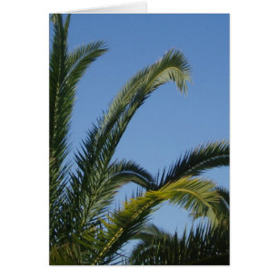 Tarjeta de árbol de palma
