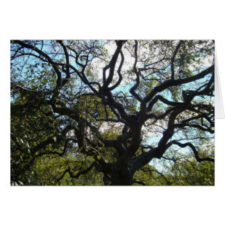 Tarjeta de árbol de vida