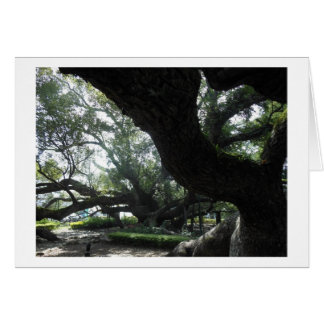 Tarjeta de árbol divino