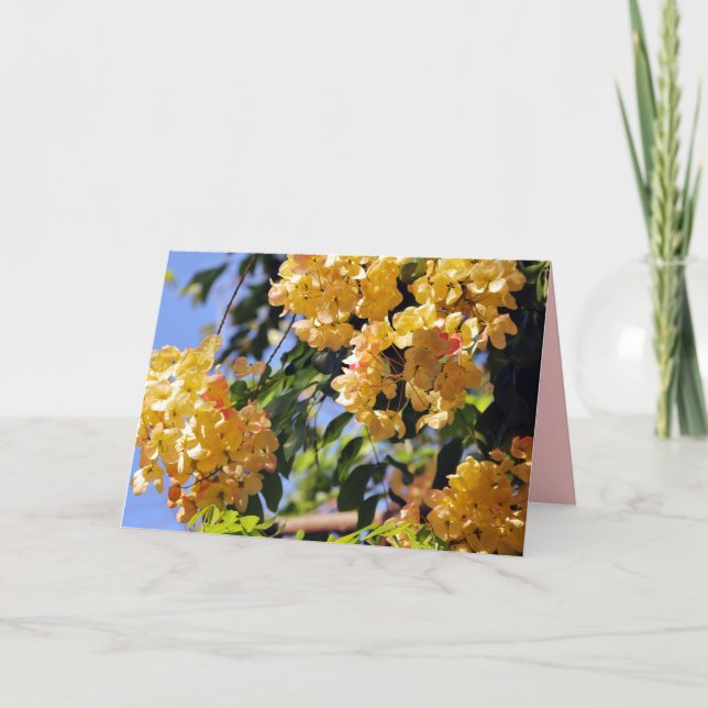 Tarjeta de árbol florida Rainbow Shower (Anverso)