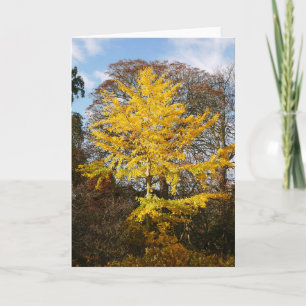 Tarjeta de árbol Ginkgo Biloba