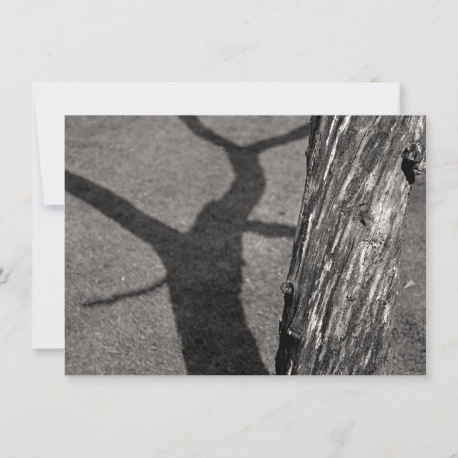 Tarjeta de árbol muerto (Anverso)