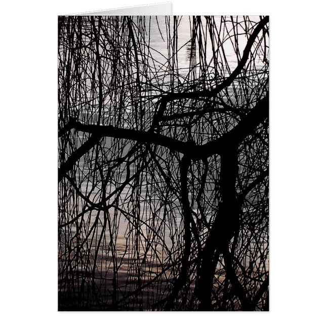 Tarjeta de ÁRBOL WILLOW (Frente)