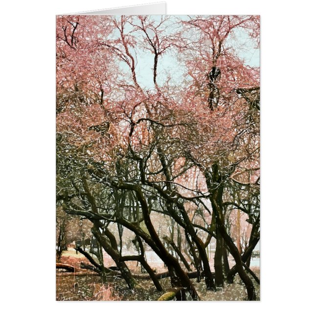 TARJETA DE ÁRBOLES (Frente)