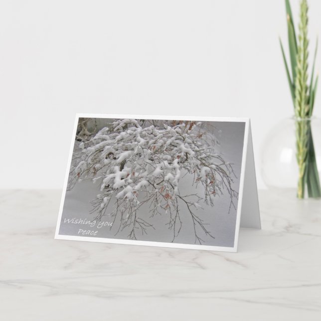 Tarjeta de arce japonesa cubierta de nieve (Anverso)
