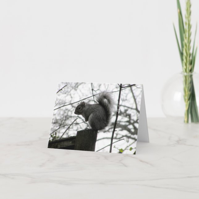 Tarjeta de ardilla (Anverso)