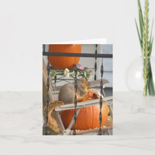 Tarjeta de ardilla de calabaza