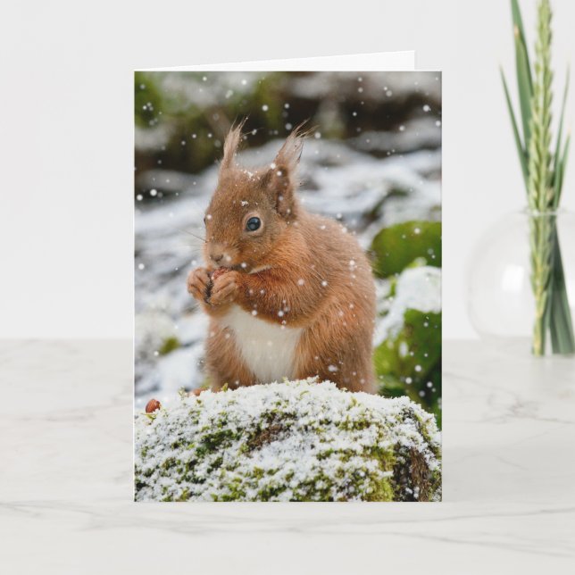 Tarjeta de ardilla en Navidades de nieve (Anverso)