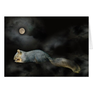 Tarjeta de ardilla para dormir