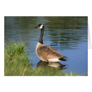 Tarjeta de arte animal de ganso de Canadá