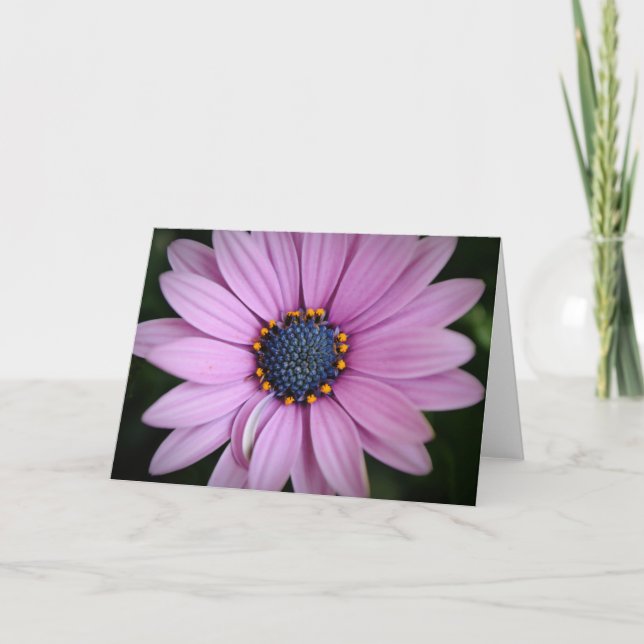 Tarjeta de arte bonito morada africana con flores (Anverso)