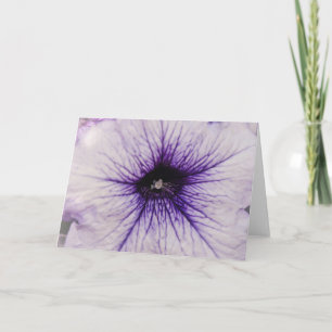 Tarjeta de arte de cierre de flor de Petunia púrpu