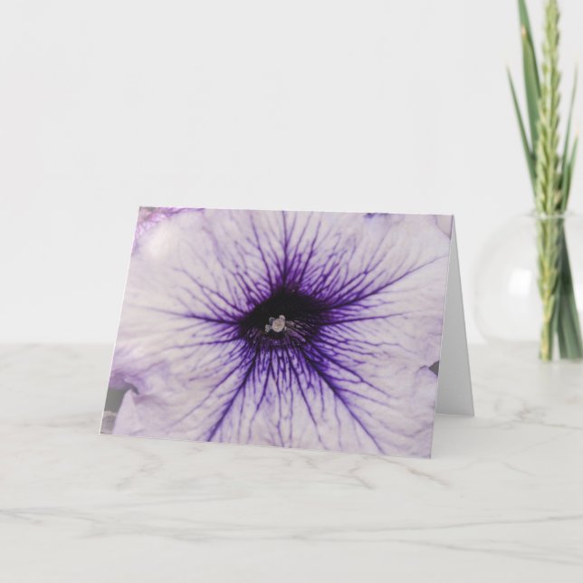 Tarjeta de arte de cierre de flor de Petunia púrpu (Anverso)
