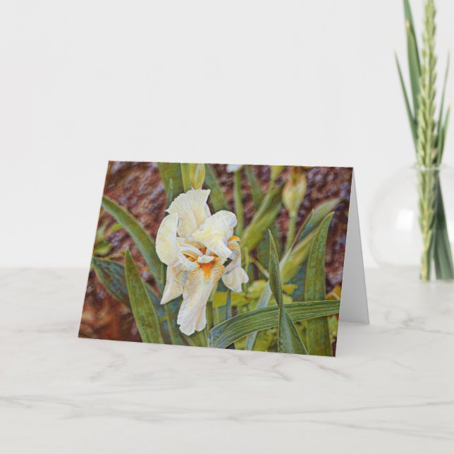 Tarjeta de Arte de Flores Iris Wild (Anverso)