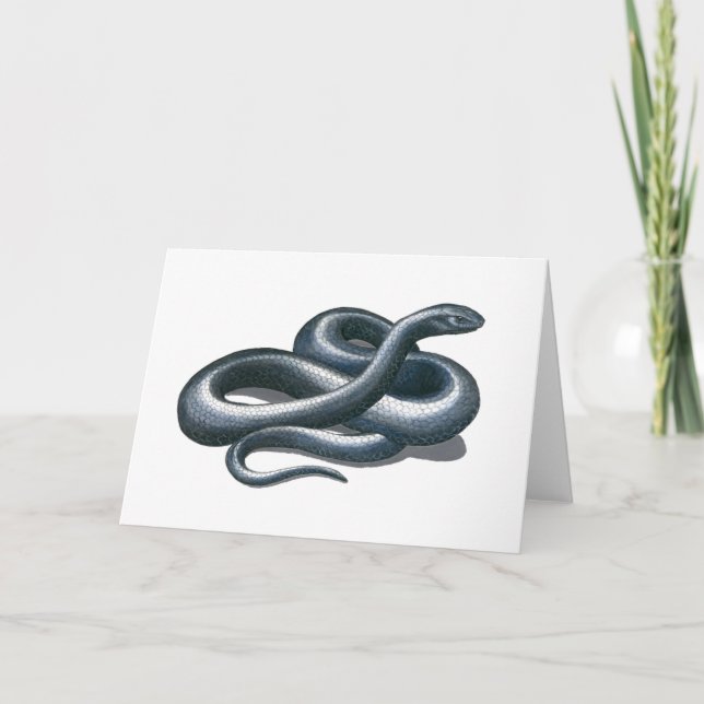 Tarjeta de arte de la naturaleza de la serpiente í (Anverso)