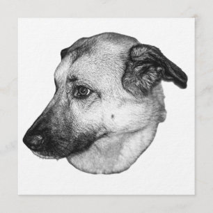 Tarjeta de arte de perro, calma invitante