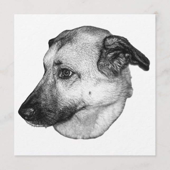 Tarjeta de arte de perro, calma invitante (Anverso)