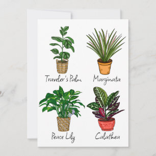 Tarjeta de arte de plantas de casa dibujadas a man