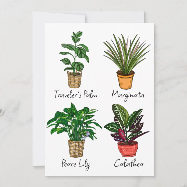 Tarjeta de arte de plantas de la casa de dibujo a  (Anverso)