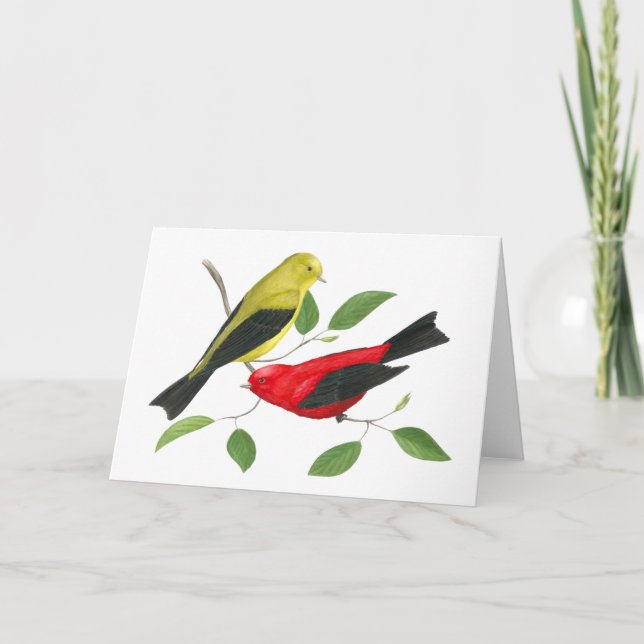 Tarjeta de arte de vida salvaje Scarlet Tanager (Anverso)