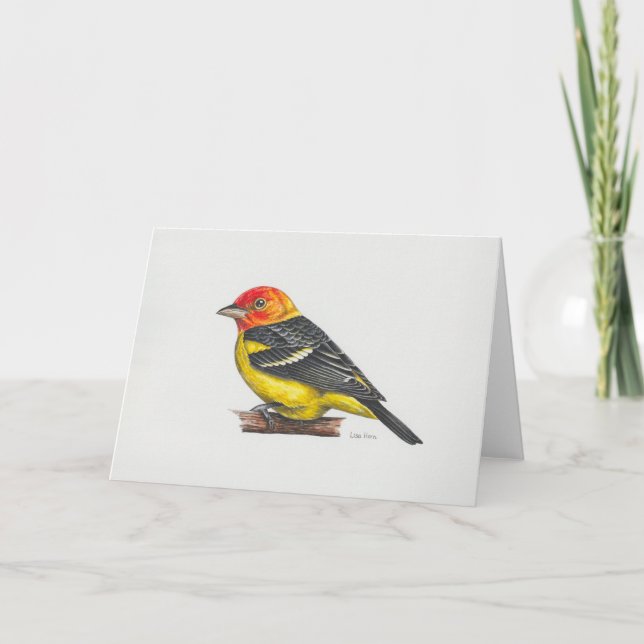 Tarjeta de arte de Western Tanager (Anverso)
