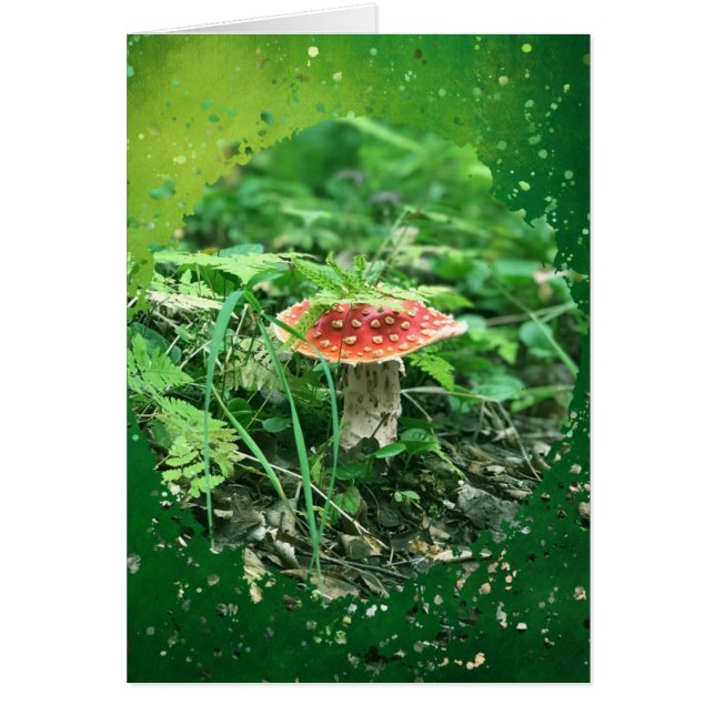 Tarjeta de arte Fly Agaric de 5" x 7" (Frente)