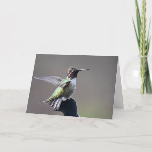 Tarjeta de Arte Frameable Hummingbird