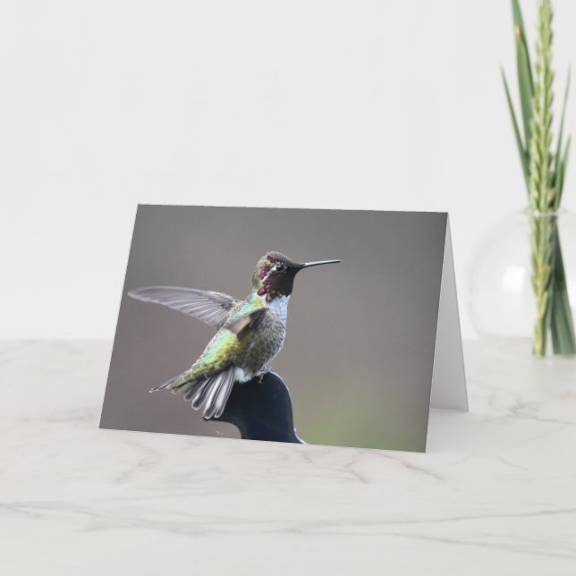 Tarjeta de Arte Frameable Hummingbird (Anverso)