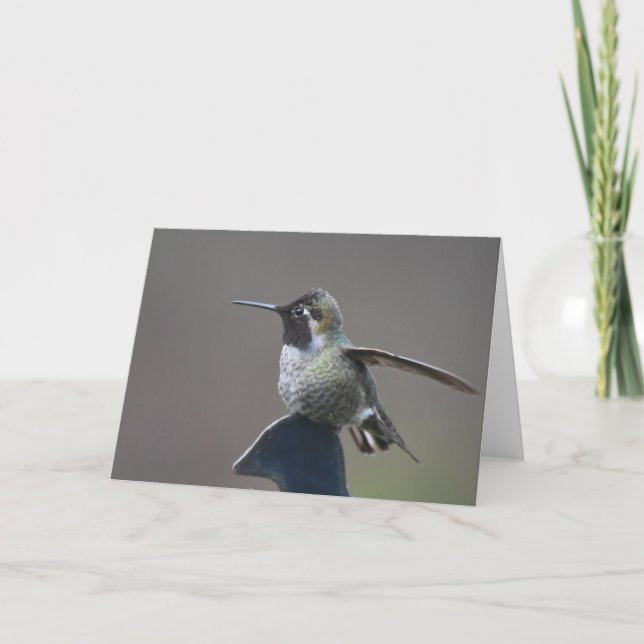 Tarjeta de Arte Frameable Hummingbird (Anverso)