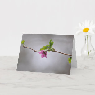 Tarjeta de Arte Frameable Salmonberry Blossom