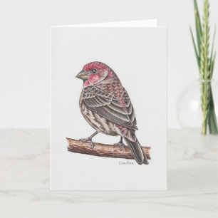 Tarjeta de arte House Finch