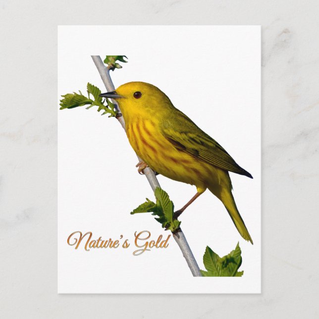 Tarjeta de arte impreso "El oro de la naturaleza"  (Anverso)