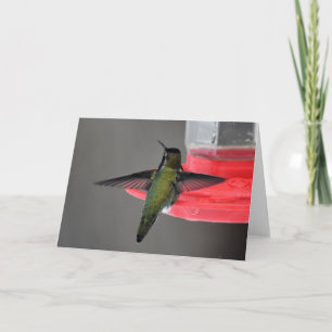 Tarjeta de arte marco de Hummingbird de Anna