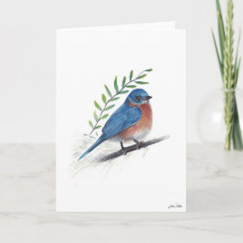Tarjeta de arte para aves silvestres